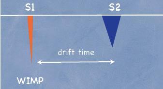 position reconstruction: PMTs (x,y), drift time (z) WIMP drift