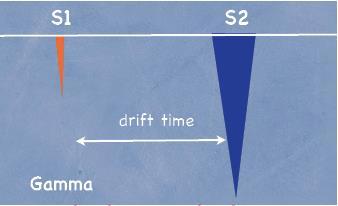 scattering drifted electrons Kernrückstoß Gamma drift time primary