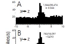 1. measuring correlations/levels of synchrony i.