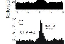 spike-train data (embeds discrete spikes in continuous time) iv.
