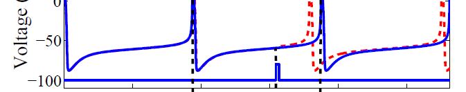infinitesimal phase response curve (iprc) () the PRC