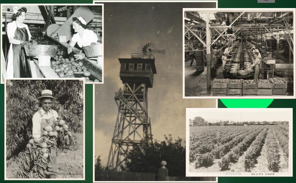 History of Groundwater in Hayward Photos