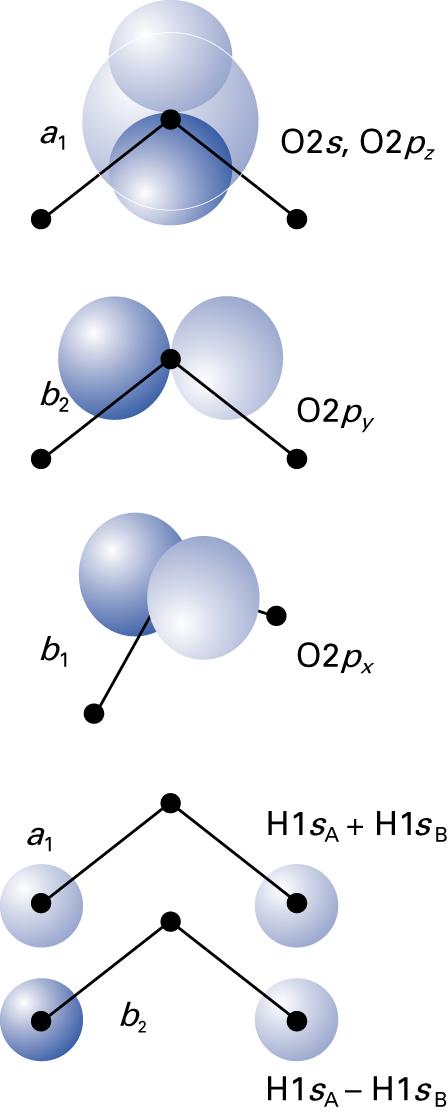 8.7. Symmetry-adapted basis sets QTMN, 017 155 Conformations of water molecule H O and ammonia molecule NH 3 can be understood by binding and molecular orbitals, which origin from p orbitas.