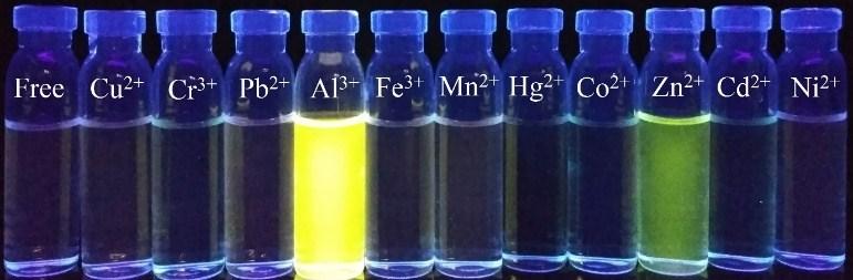 addition of different anions as stated. Fig.