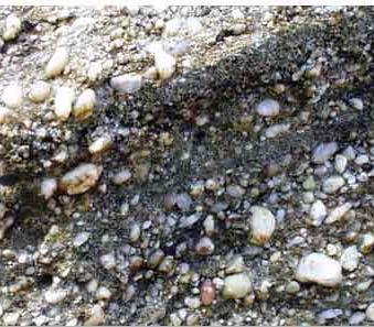 Fluvial gravels and conglomerates Development of bedforms is suppressed by small values of flow depth/grain size. (Toutle River, WA) [photo P.