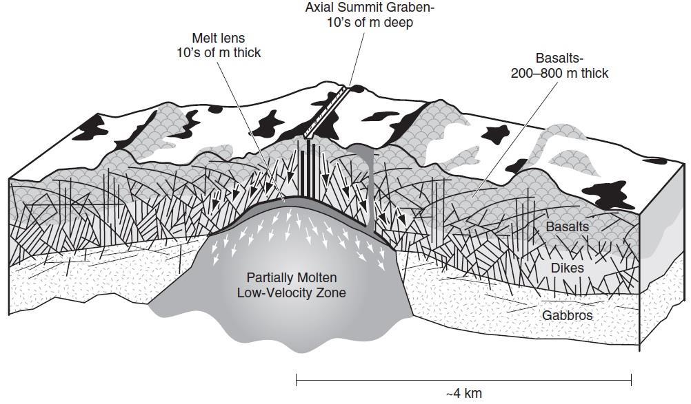 Slow-spreading and fast-spreading ridge The geometry of the fast-spreading ridge structure indicates a very narrow and persistent zone of dike intrusion, and isostatic subsidence as the thickness of