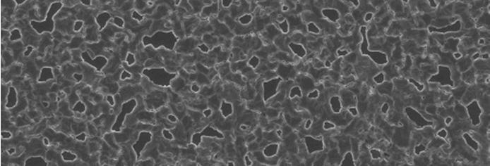 (a) (b) 10 µm 10 µm Figure S7 a) Top-view SEM images of perovskite films