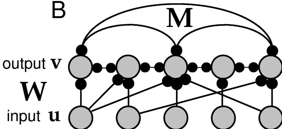 Modeling Networks of Neurons dv v F(