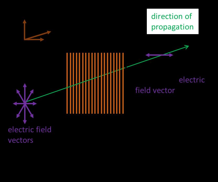 Fig. 5. Actin f vertical metal grid wire grid n an unplarised micrwave beam.