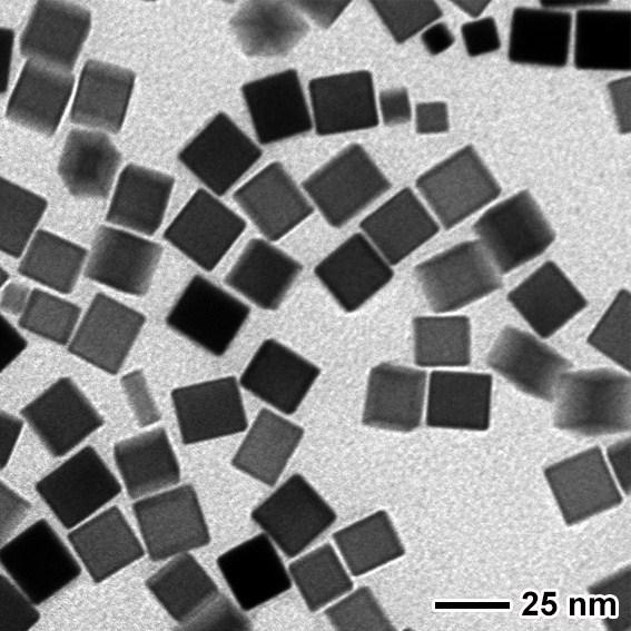 Fig. S7 TEM image of the Pd nanocubes prepared in the absence of GO