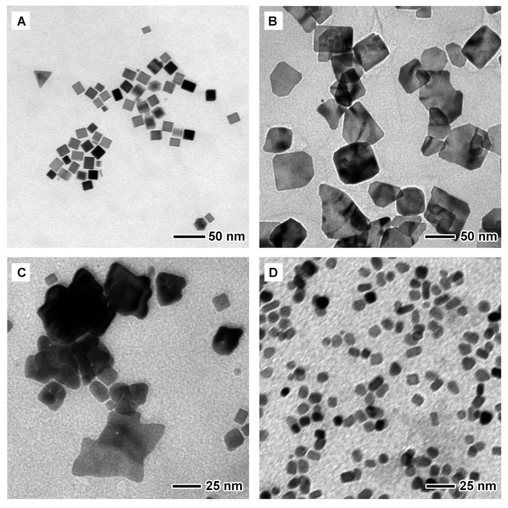 Fig. S8 TEM images of the products prepared using the standard procedure, except for using GO annealed