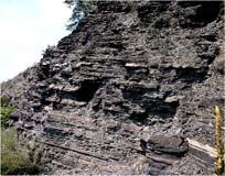 Shale Clastic Sedimentary Rocks Fine grained clastic sedimentary rock Splits into thin layers