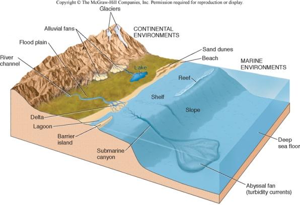 Depositional environment Location where sediment came to rest Sediment characteristics and sedimentary structures (including fossils) are