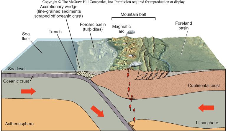 Plate Tectonics and Sedimentary Rocks Tectonic setting plays key role in the