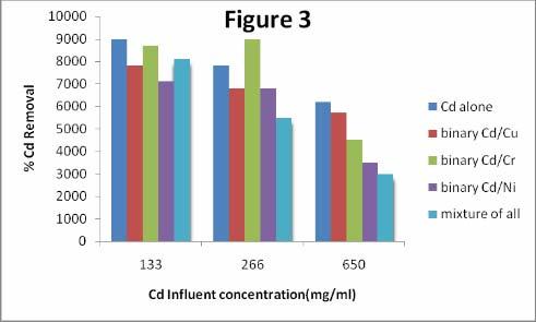 influent. Generally Cr (VI) removal was ranged between 16 to 40% of metal influent.