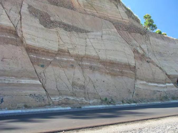 Roadside outcrop reveals the bedding and fractures that occur in the subsurface Water moving through the rocks dissolves elements in the minerals.