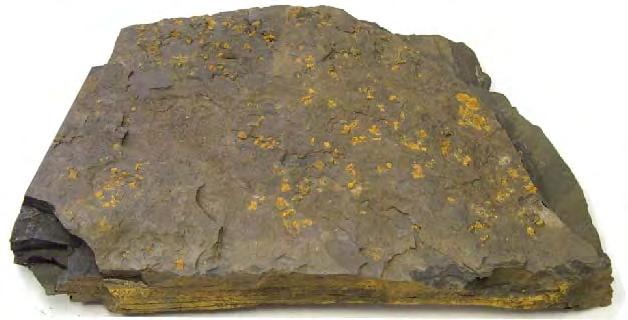 unoxidized pyrite