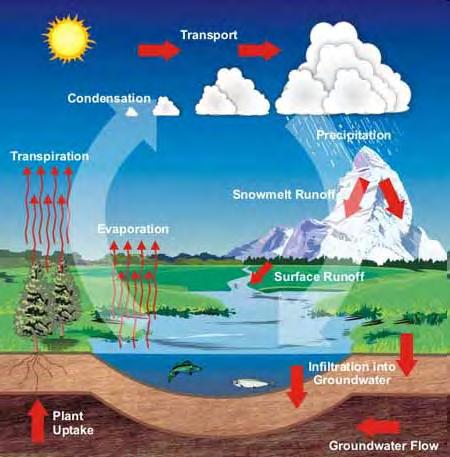 Hydrologic Cycle atmos.uiuc.edu http://www.atmos.uiuc.edu/earths_atmosphere/water_cycle.