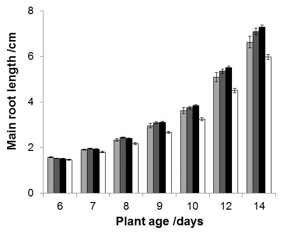 HDC1-OX1 HDC1-OX2 Wildtype hdc1-1 Supplemental fig. S6 Supplemental Figure 6: Root and leaf growth phenotypes in young plants.