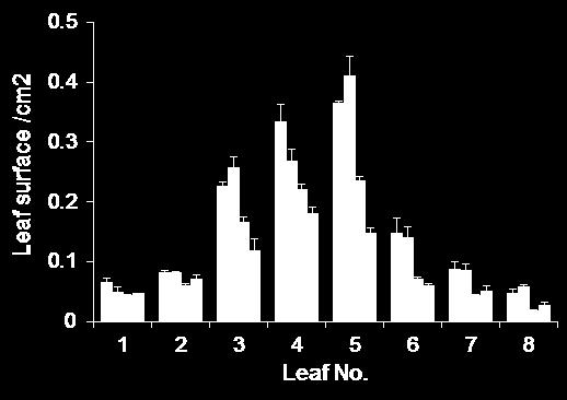 For leaf surface measurements plants were grown on soil. fter 2 weeks, leaves were removed in order of appearance and analyzed with Image J.
