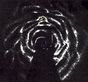 Application: Spiral Arms of our Galaxy Locate clumps of HI gas by observing Doppler shift from differential