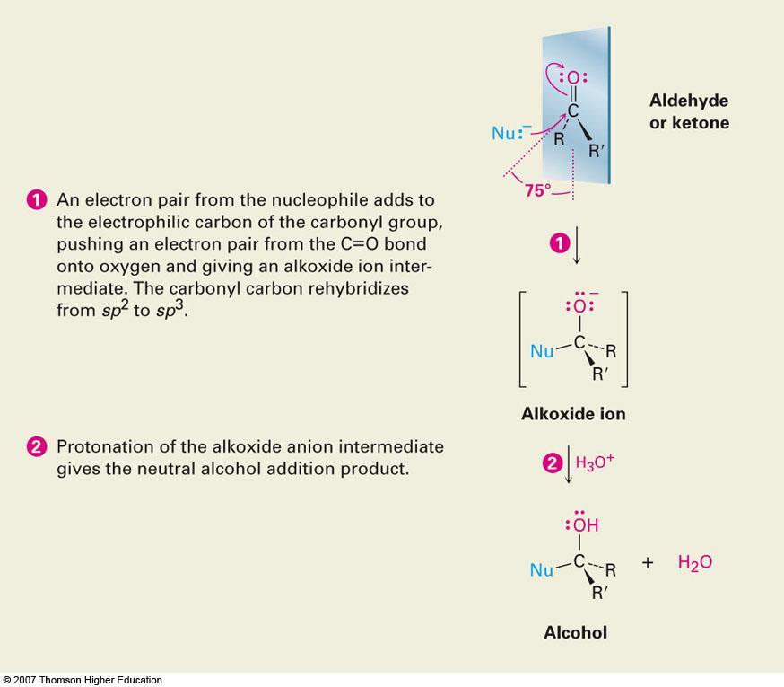 19.4 Nucleophilic Addition Reactions of Aldehydes and Ketones Nu - approaches 75 to