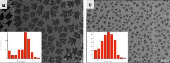 Supplementary Figure S9. Spontaneous nucleation of graphene grains. a and b. Nucleation process of intrinsic and N-doped graphene, respectively. The SEM images were captured on copper.