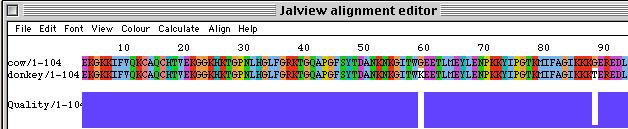 6) Click the JalView button and wait 20-60 seconds and you should see this (you may have to wait Amino acid sequences a little for all the colors to show): This shows the amino acid sequence of