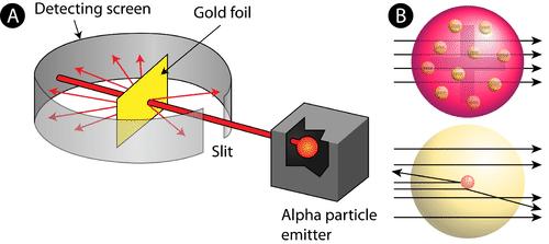NOT ON TEST #1 Some alpha particles were deflected (by the nuclei of the gold atoms) while many particles went straight through the atom.