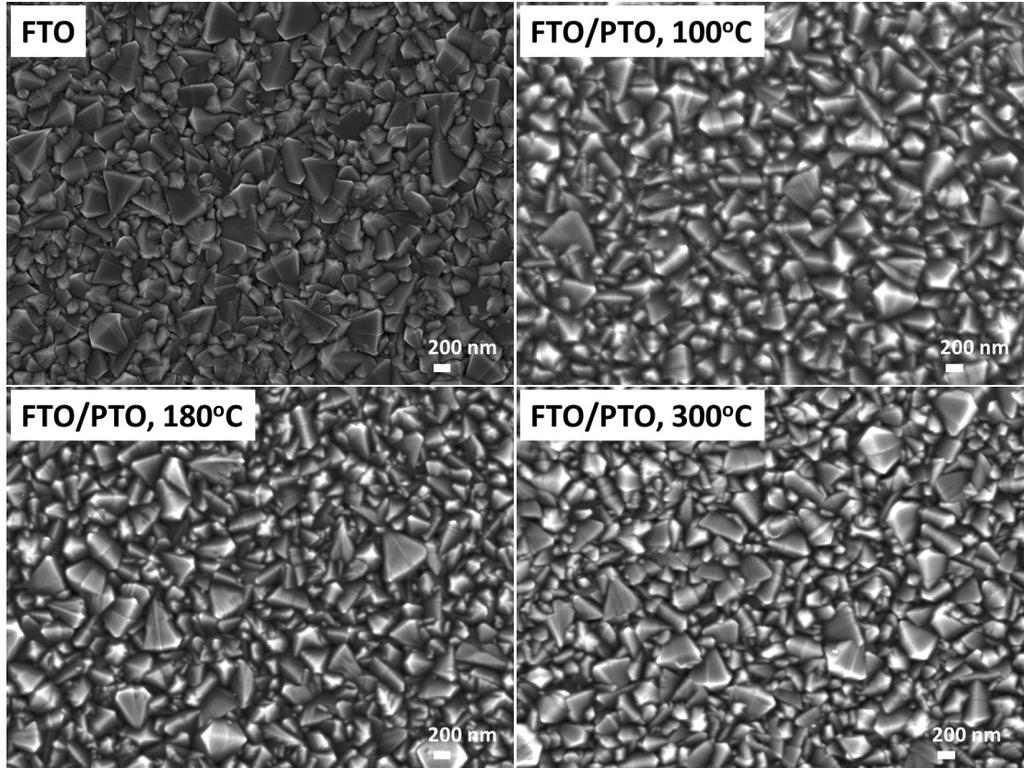 Fig. S6 SEM top-view images of FTO and PTO films.