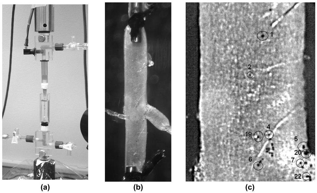 Monson et al. Page 14 Figure 1. (a) Mechanical testing apparatus and (b) accompanying close-up of specimen A9, with (c) zoomed-in image showing microspheres.
