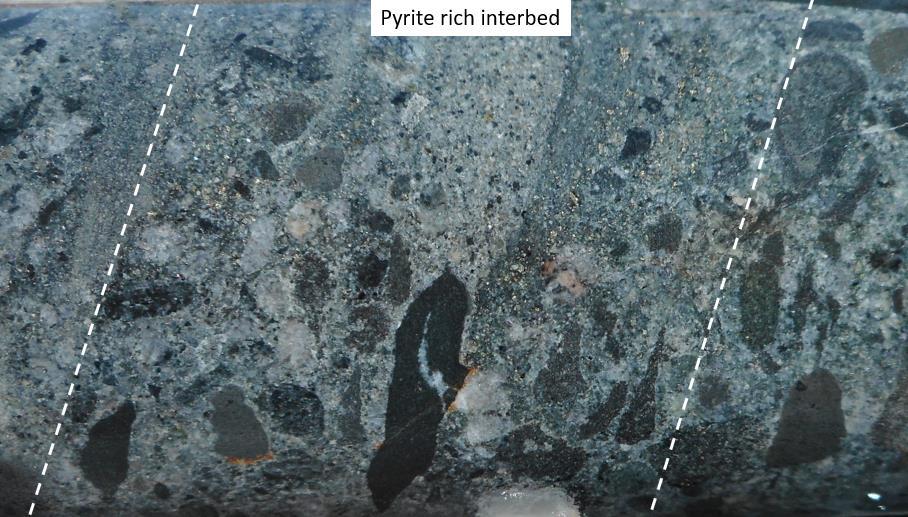 Plate 1 Pyritic rich interbed in chlorite altered,