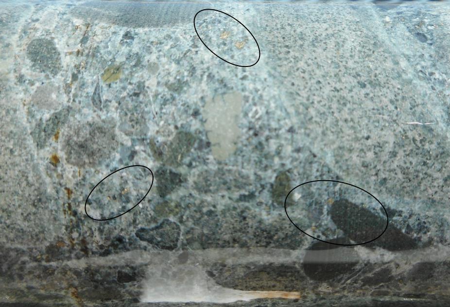 Plate 4 Detrital pyrite in sericite-chlorite alter