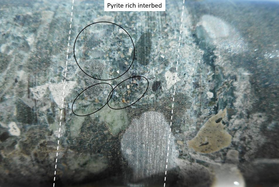 Plate 5 Pyritic beds in chlorite altered pebble to cobble
