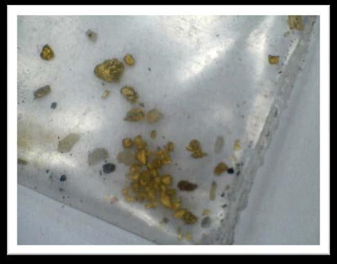 Very high gold values were discovered in the samples, including 176 g/t gold, 95.7 g/t gold & 82.