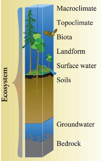 Ecological Land Units (ELUs) The Ecophysiographic