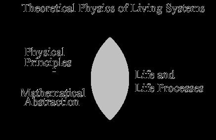Theoretical Physics of Living Systems Questions/methods which are of interest/helpful to physicists and biologists Physics can help