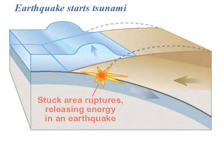 During an Earthquake Seafloor goes up Coast