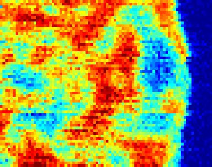 (a) Phase image at 74 cm - extracted from the hyperspectral data cube shown in Figure prior to linear baseline correction. Scale bar, 3nm.