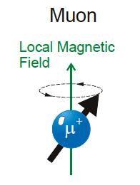 The muon is sensitive to the vector sum of the local magnetic fields at its stopping site.