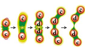 More Strong Interactions (QCD) Quark or Color Confinement Color is invisible; quarks are asymptotically free inside the nucleons, but they are strongly confined by strong spring-like forces No