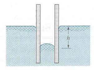 Note that the height in a capillary tube is inversely proportional to the tube radius, and thus the rise of a liquid becomes increasingly pronounced as the tube radius is decreased.