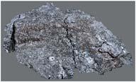 minerals found in terrestrial rocks Mare basalt