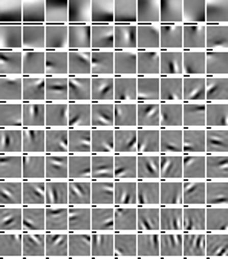 Learning features by contrasting natural images with noise 9 Fraction Cross entropy error: 0.297 0.6 False class.: 0.471 0.5 0.4 0.3 Natural image data Reference data Fraction 0.35 0.3 0.25 0.2 0.