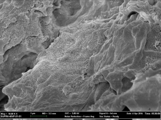 visible (Figure Lim Ying1(c)) Chin compared to the micrograph of the Meanwhile, the surface became smoother and most pores have been filled with MO molecules untreated STL (Figure 1(a)).