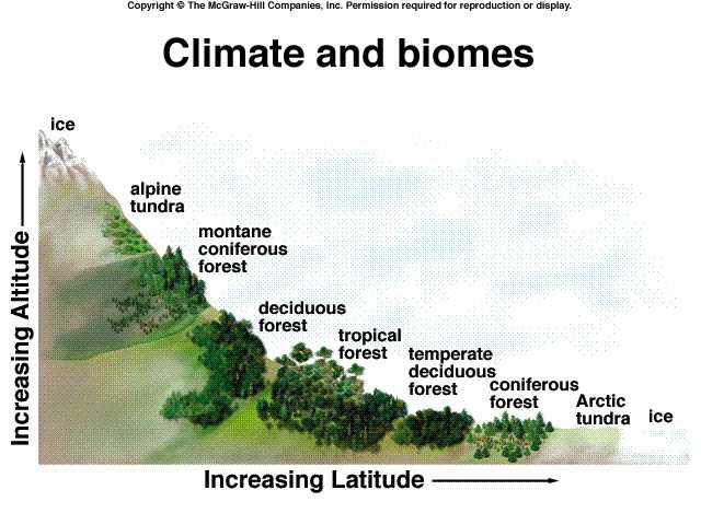 Climate Changes with Elevation The temperature gradient between the base of a mountain and