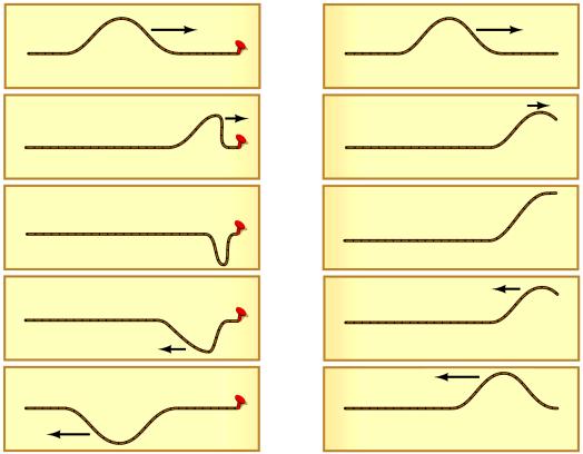 Energy Transported by Waves Just as with the oscillation that starts it, the energy transported by a wave is proportional to the square of the amplitude.