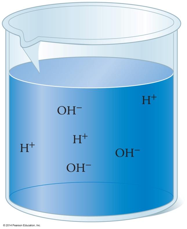Ionization of Water Since [H + ] is 1 10 27 mol/l at 25 C, the hydroxide ion concentration [OH ] must also be 1 10 7 mol/l at 25 C.