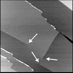 94 R.W. Carpick et al. / Potassium halide surfaces in ultrahigh vacuum Figure 3. 620 620 nm 2 topographic image of KCl(001).