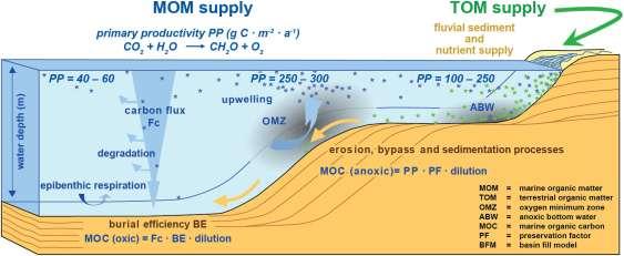 OF-Mod 3D Organic Facies/Source-rock Modelling Process-based simulation considering all relevant processes for the deposition and preservation of organic matter in a marine sedimentary basin